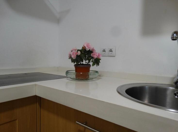Ferienwohnung Pleno Centro Muy Luminoso Córdoba Exterior foto